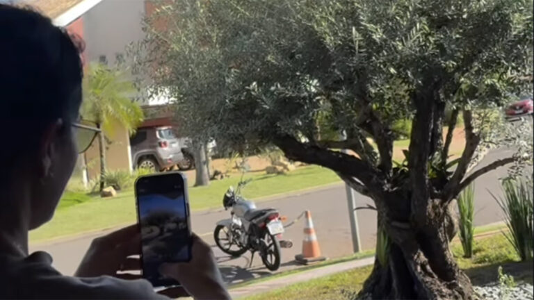 Dona de mansão de luxo, cantora compra árvore caríssima para o jardim