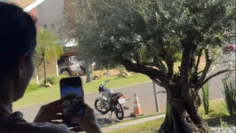 Dona de mansão de luxo, cantora compra árvore caríssima para o jardim