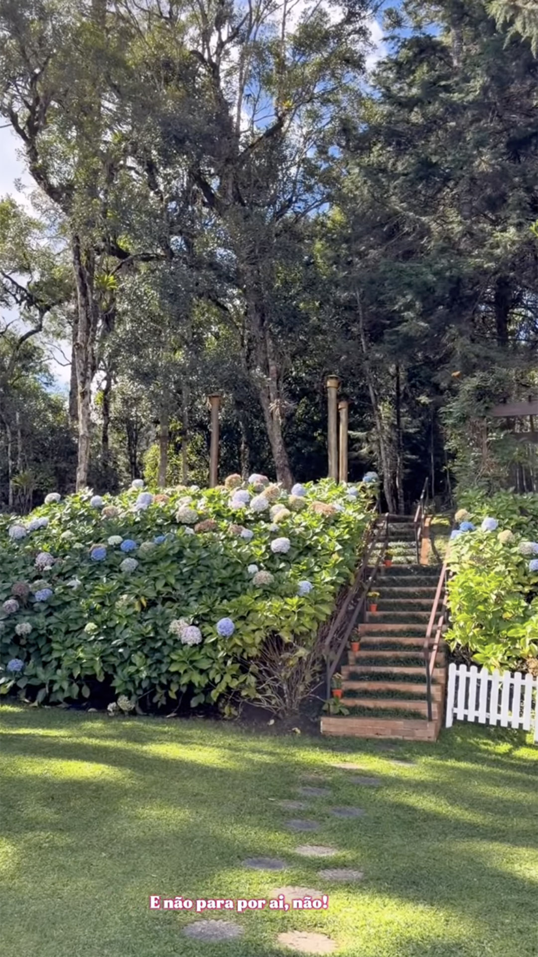 Casa de campo de Alice Takeda, esposa de Mauricio de Sousa - Foto: Reprodução / Instagram