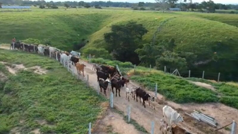 Dupla sertaneja é dona de fazenda milionária cercada por luxo e criação de animais de elite
