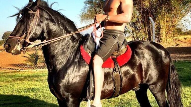 Dono de fazenda milionária, astro sertanejo faz doação de R$ 1,1 milhão após leilão em Goiás