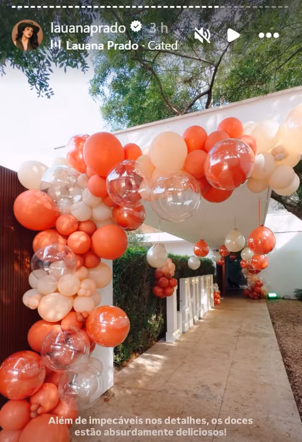 Festa de Lauana Prado - Foto: Reprodução/ Instagram