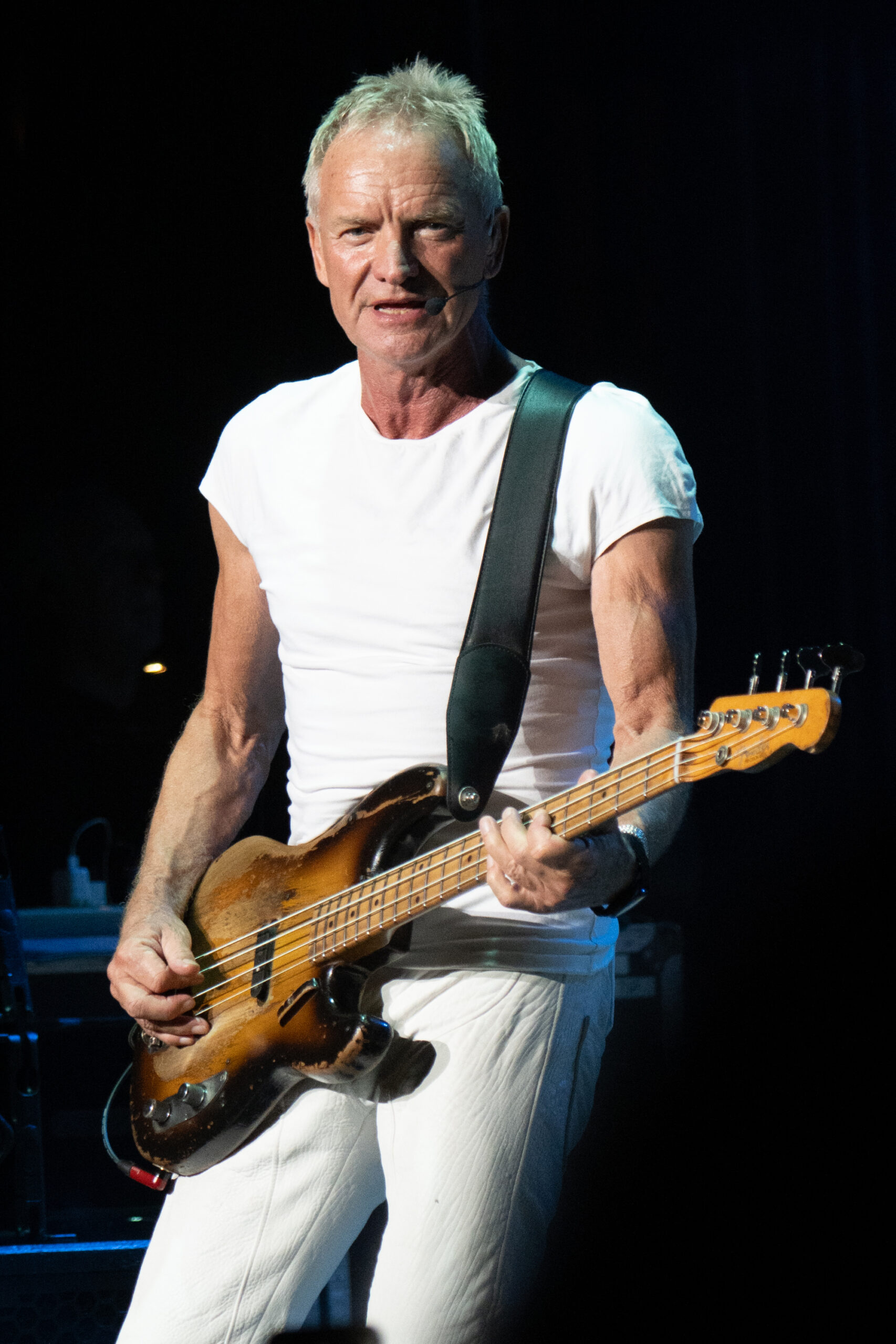Sting - Foto: Getty Images