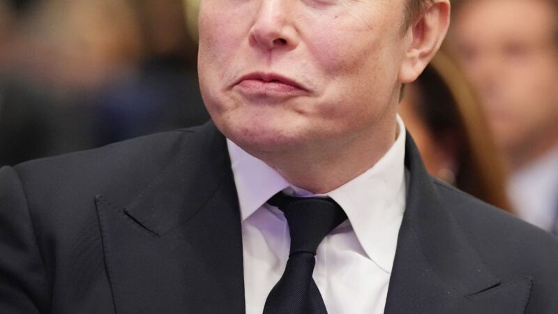 Elon Musk é o famoso mencionado no texto - Foto: Andrew Harnik/Getty Images