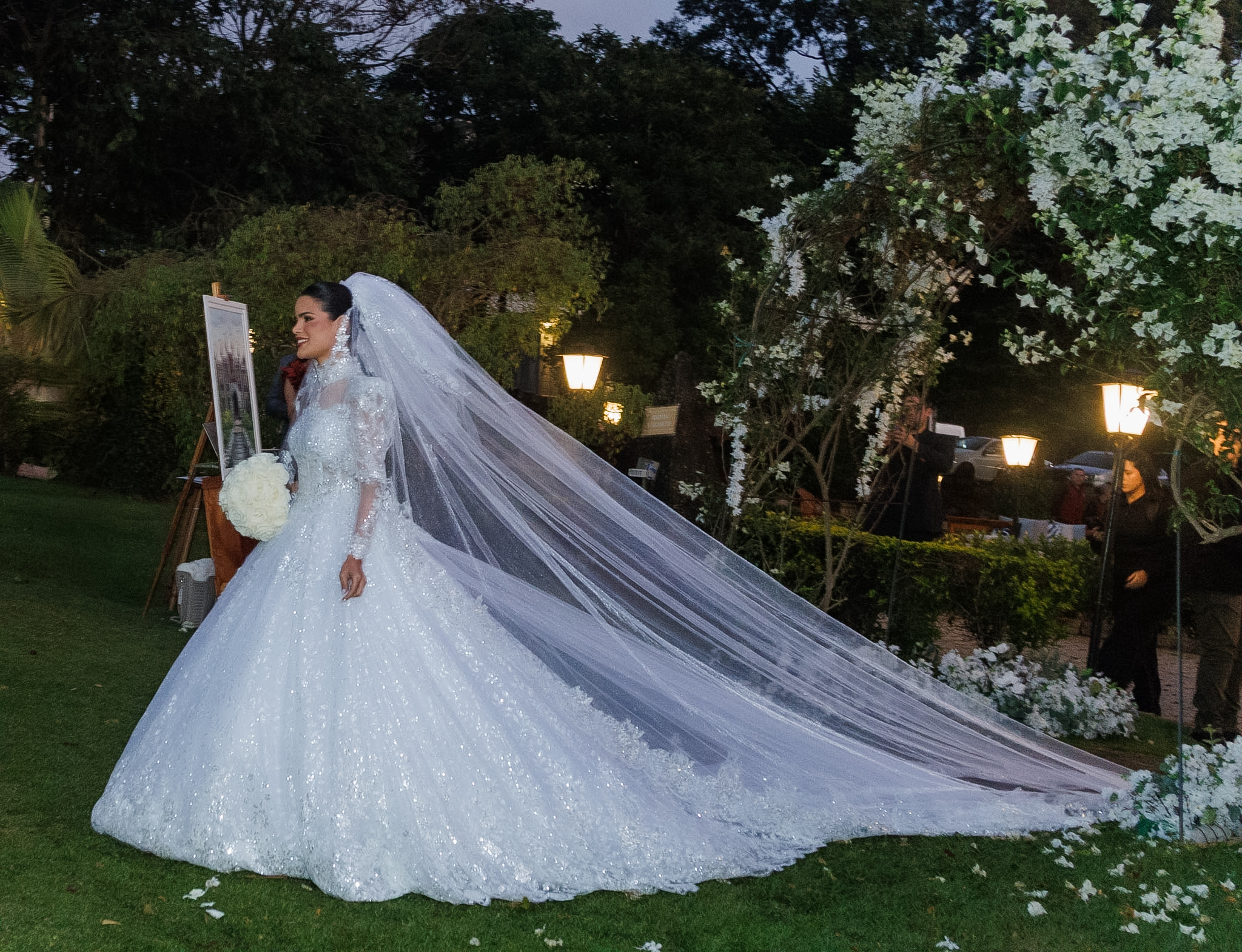 Casamento de Sidney Sampaio e Luana Sales - Foto: Clayton Felizardo / Brazilnews
