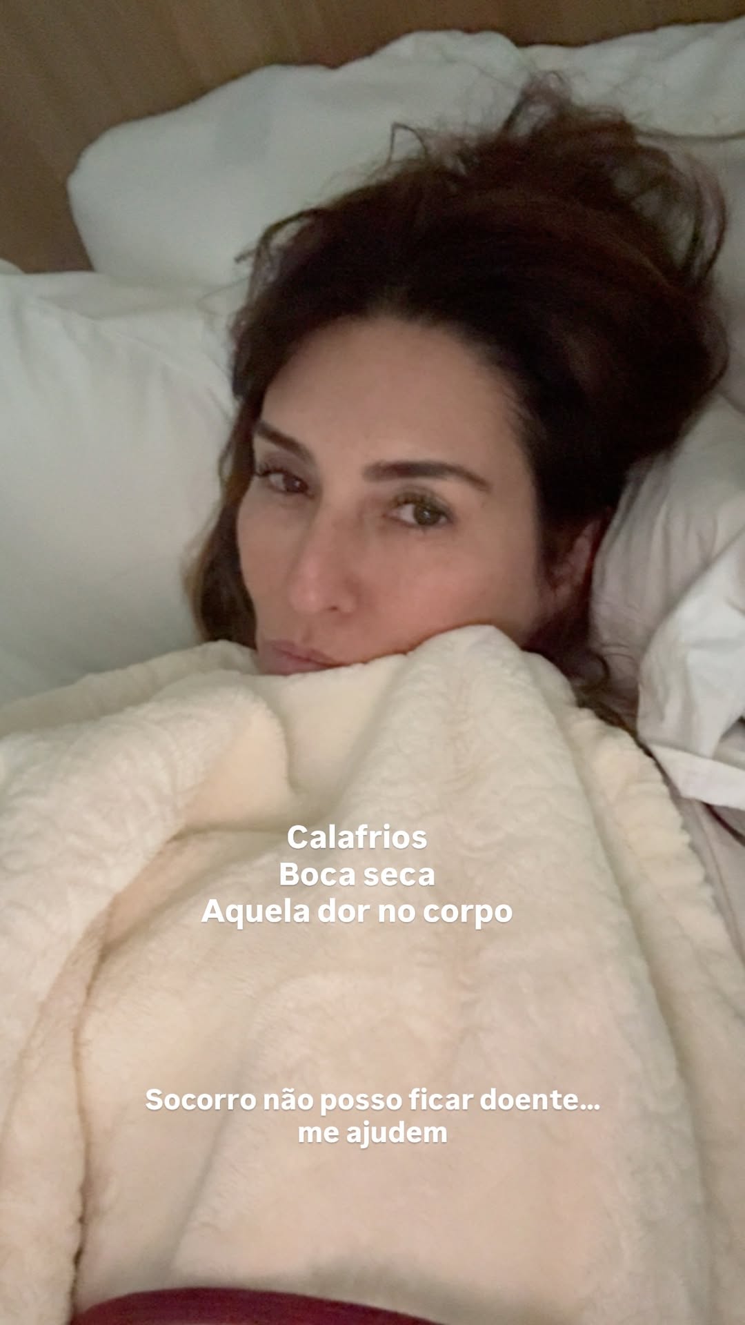 Storie de Fernanda Paes Leme – Foto: Reprodução/Instagram @fepaesleme