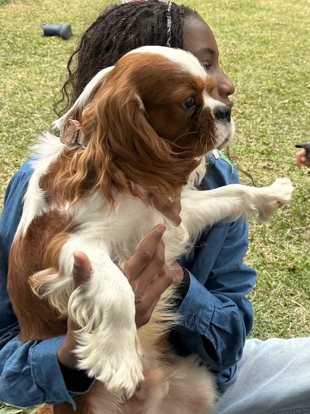 Leandra Leal com a família – Foto: Reprodução/Instagram @leandraleal
