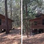 Longe dos holofotes, ator de 62 anos vive em propriedade rural em pequena vila na Austrália