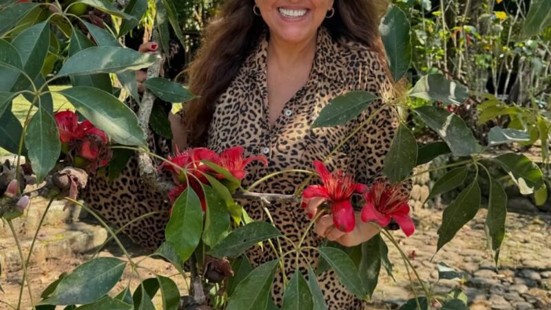 Regina Casé é a famosa mencionada no texto — Foto: Reprodução/Instagram @reginacase