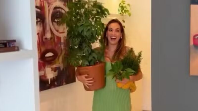 Refúgio cercado pelo verde: apresentadora da Globo vive em apartamento repleto de plantas, cores e personalidade no Rio