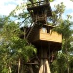Em meio à natureza, casa na árvore virou refúgio de apresentador do SBT de 75 anos