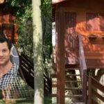 Em meio à natureza, casa na árvore virou refúgio de cantora brasileira de 41 anos