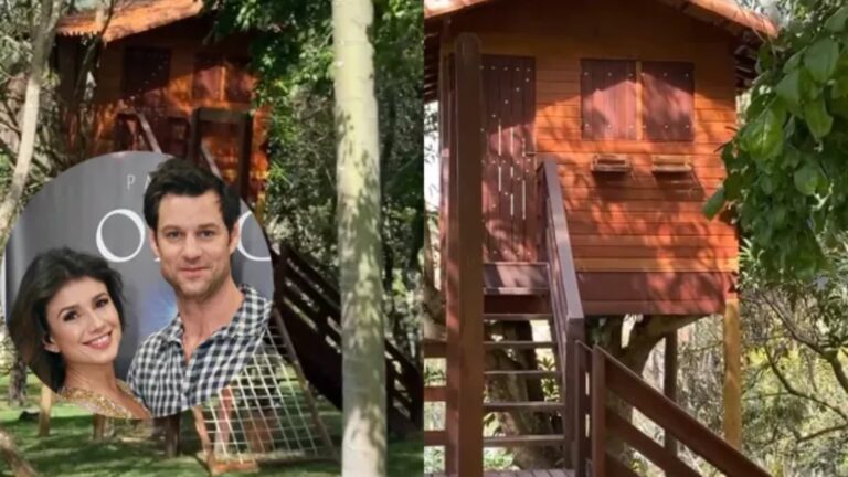 Em meio à natureza, casa na árvore virou refúgio de cantora brasileira de 41 anos