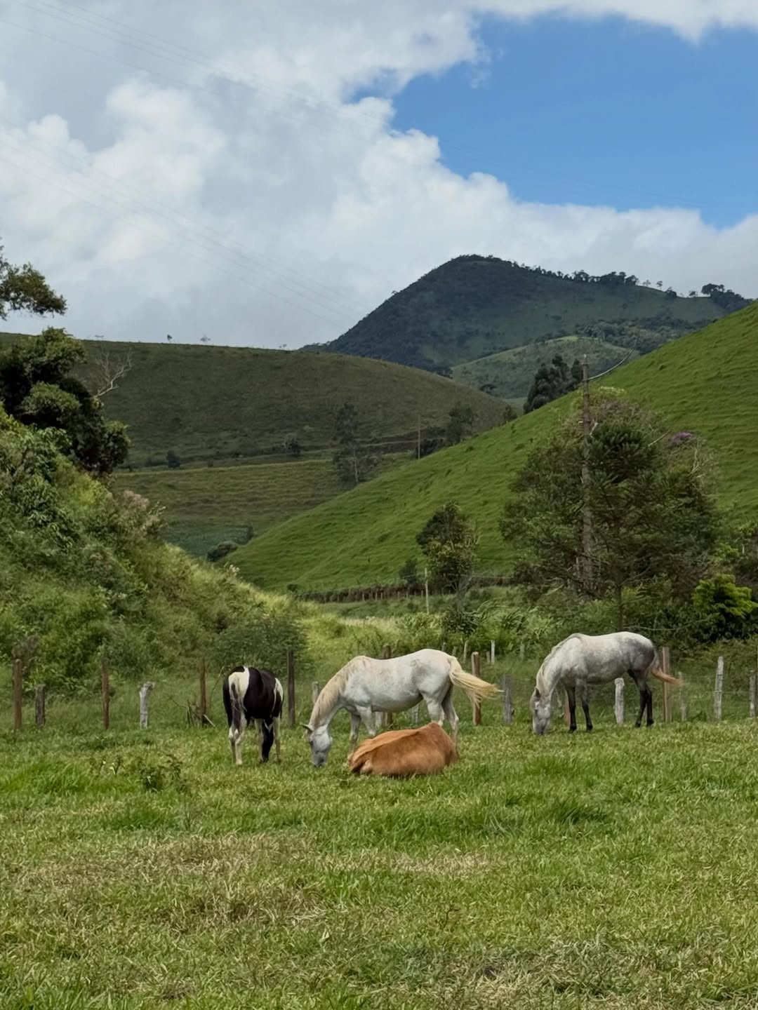 Cleo e o marido, Leandro, são proprietários de sítio no meio das montanhas - Foto: Reprodução / Instagram