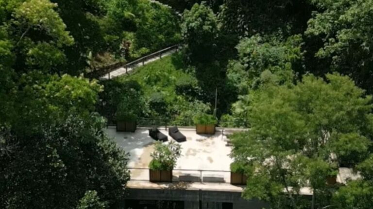 Aos 47 anos, Dudu Azevedo vive em refúgio cercado pela Mata Atlântica e com nascente própria