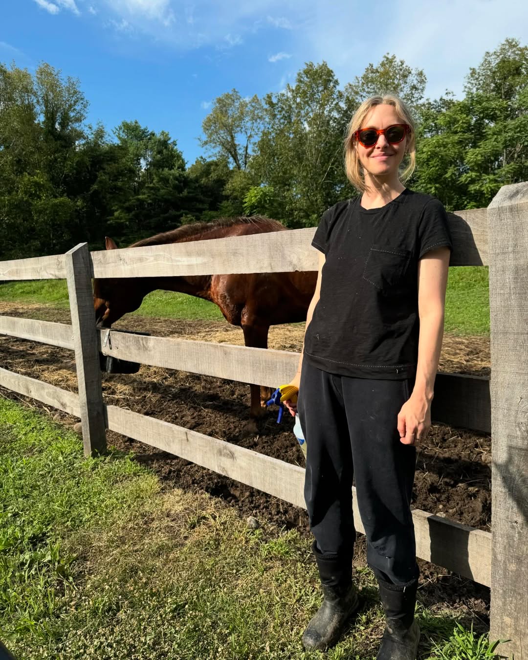 Fazenda da atriz Amanda Seyfried - Foto: Reprodução / Instagram