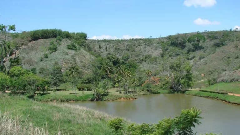 Em meio à Mata Atlântica, fazenda virou refúgio de atriz brasileira de 67 anos