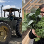 Aos 54 anos, atriz tem fazenda centenária de 22 hectares com cultivo para sua empresa milionária