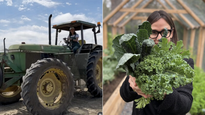 Jennifer Garner tem fazenda nos Estados Unidos - Foto: Reprodução / Instagram