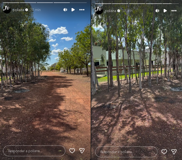 Poliana Rocha mostra nova aquisição de Leonardo - Foto: instagram