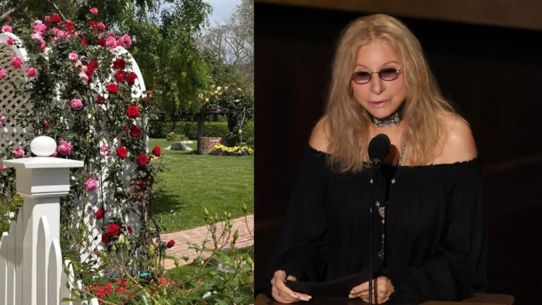 Dona de mansão luxuosa de mais de R$ 60 milhões, cantora exibe jardim digno de conto de fadas