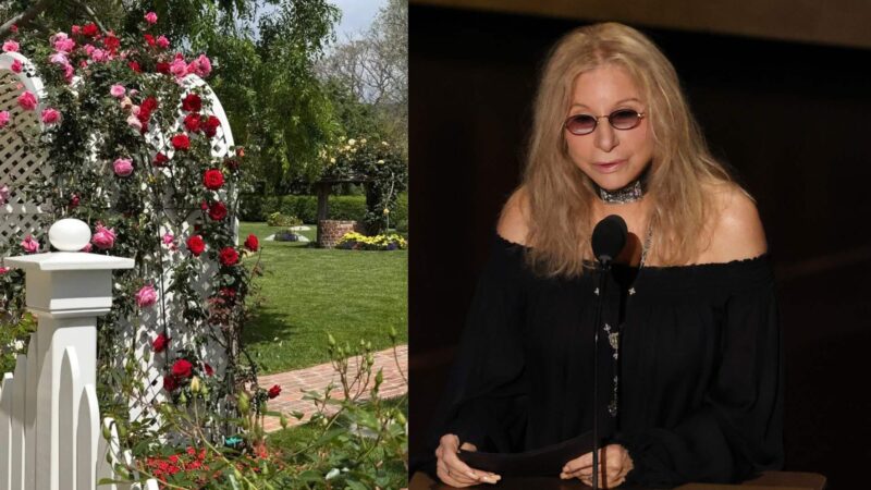 Dona de mansão luxuosa de mais de R$ 60 milhões, cantora exibe jardim digno de conto de fadas