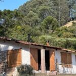 Em meio à natureza, cabana sustentável virou refúgio de atriz brasileira de 44 anos