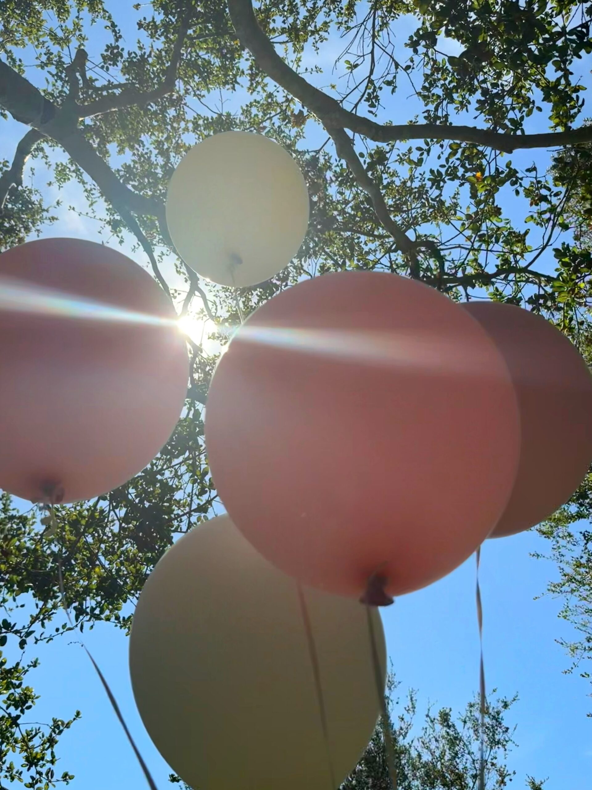 Gisele Bündchen comemora aniversário com festa intimista — Foto: Reprodução/Instagram