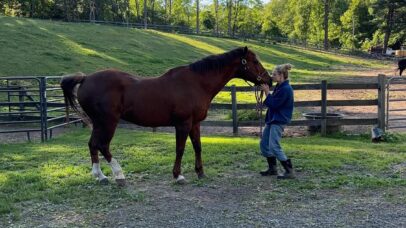 Aos 40 anos, atriz mostra sua fazenda com refúgio para animais idosos no interior de Nova York