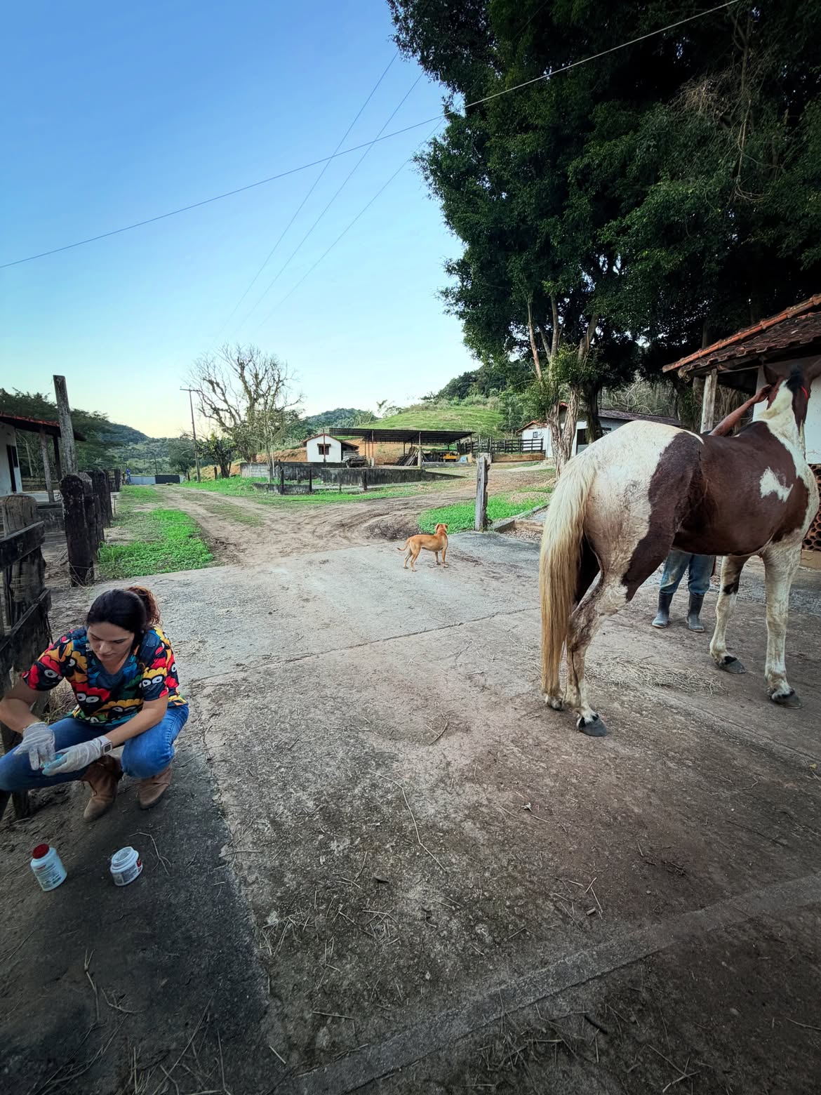 André Marques reforma a fazenda da família - Foto: Reprodução / Instagram