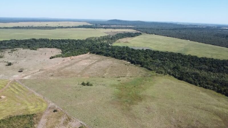 Fazenda de Hugo Vezzani