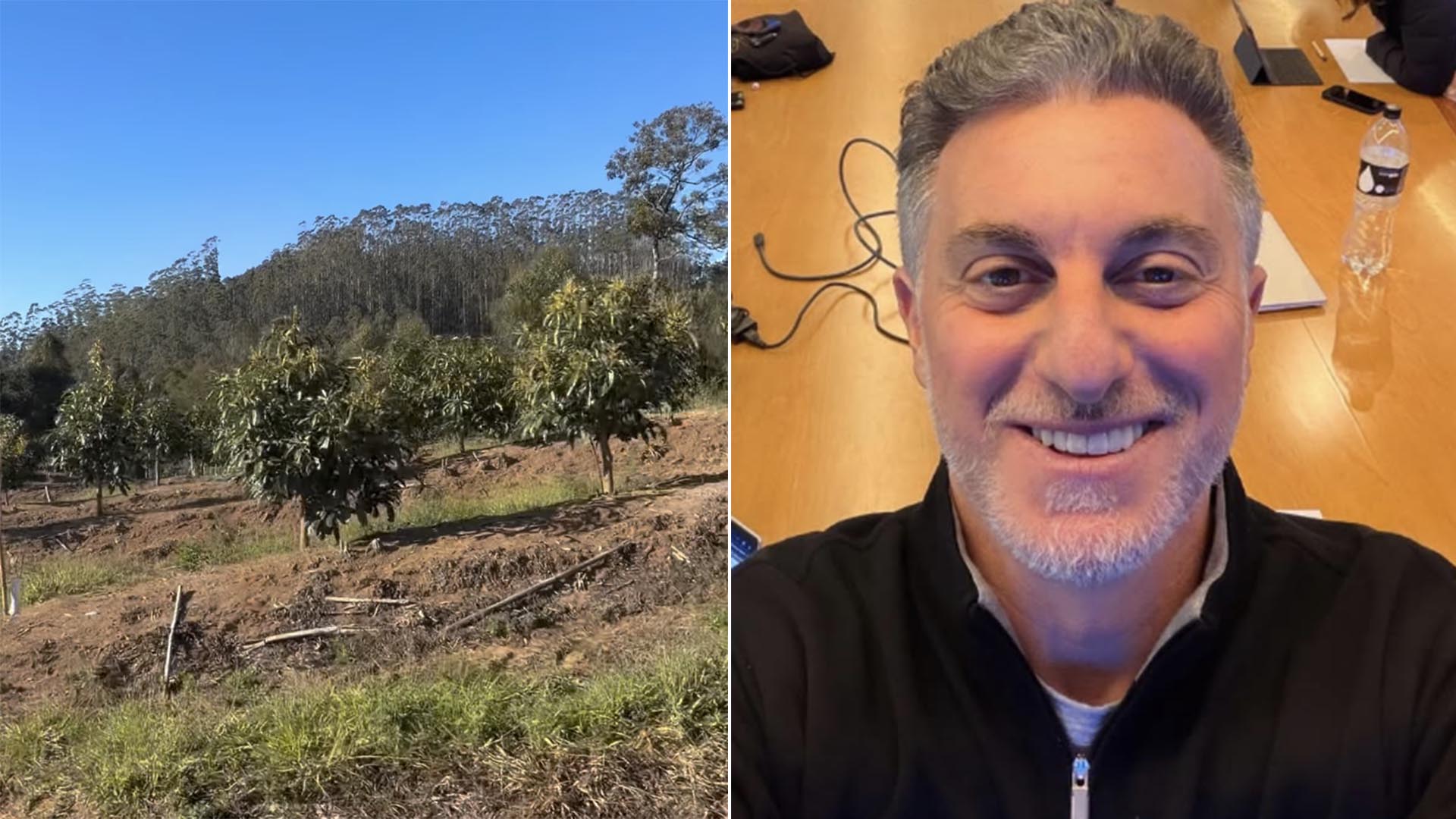 Aos 54 anos, Luciano Huck mostra sua fazenda com planta&ccedil;&atilde;o de avocado na Serra da Mantiqueira