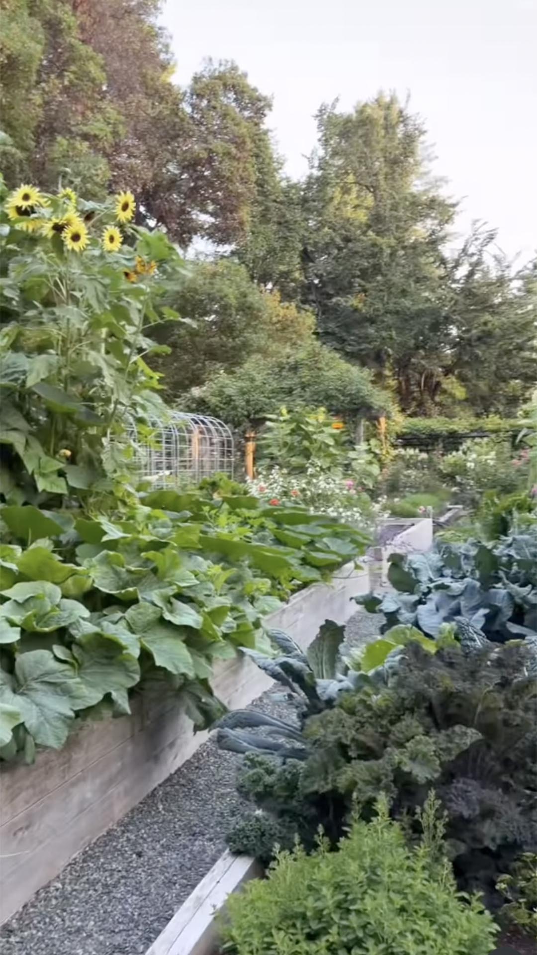 Jardim e horta da mansão de Pamela Anderson - Foto: Reprodução / Instagram