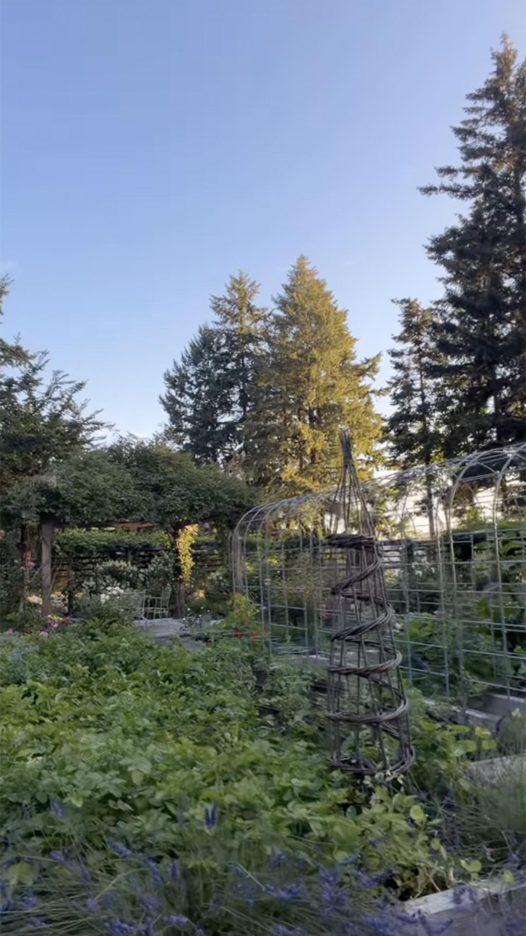 Jardim e horta da mansão de Pamela Anderson - Foto: Reprodução / Instagram
