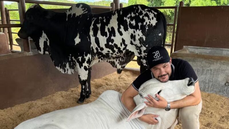 Aos 44 anos, cantor mostra ref&uacute;gio de luxo e investimento na pecu&aacute;ria em Mato Grosso do Sul