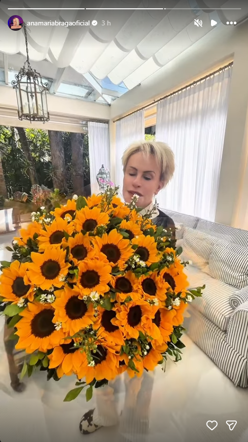 Storie Ana Maria Braga - Foto: Reprodução/Instagram