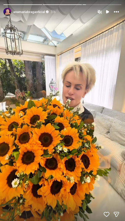 Storie Ana Maria Braga - Foto: Reprodução/Instagram