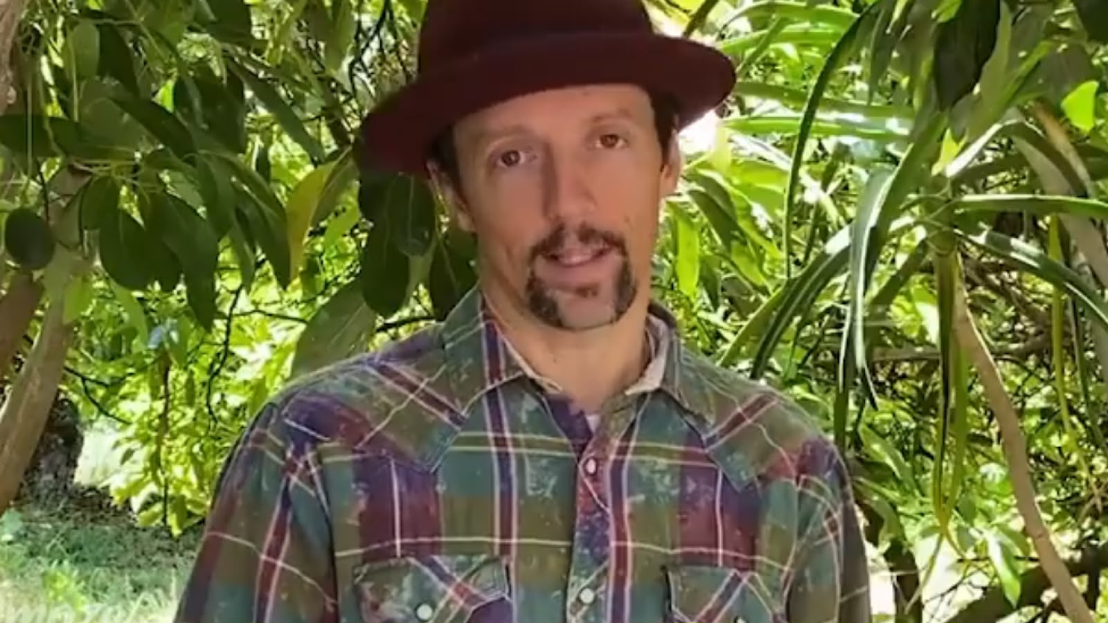 Jason Mraz é o cantor mencionado no texto - Foto: Reprodução/Instagram @jason_mraz