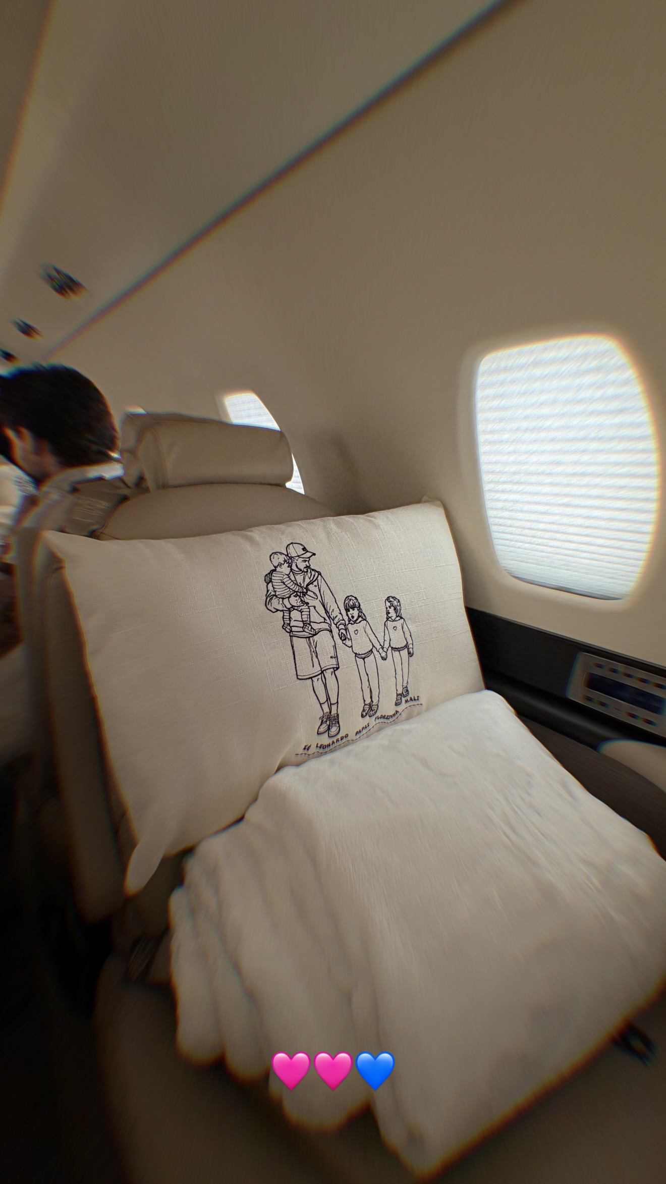 Zé Felipe inclui adesivo de Virginia em novo avião — Foto: Reprodução/ Instagram Zé Felipe