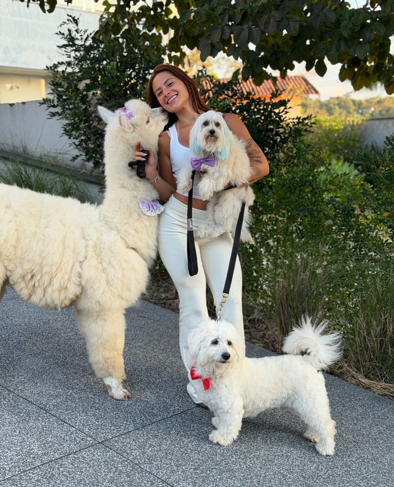 Yuri Meirelles e Nathalia Valente criam alpaca em mansão - Foto: Reprodução / Instagram @nathaliavalente