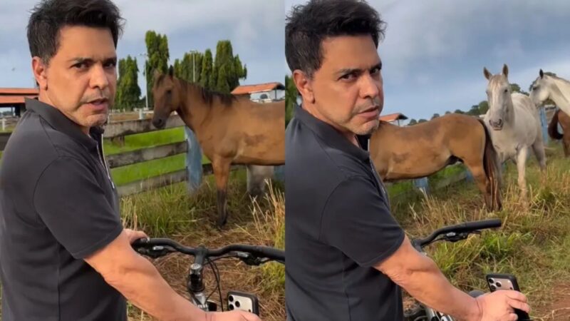 Zezé Di Camargo proíbe abate de animais em sua fazenda de R$ 65 milhões; entenda