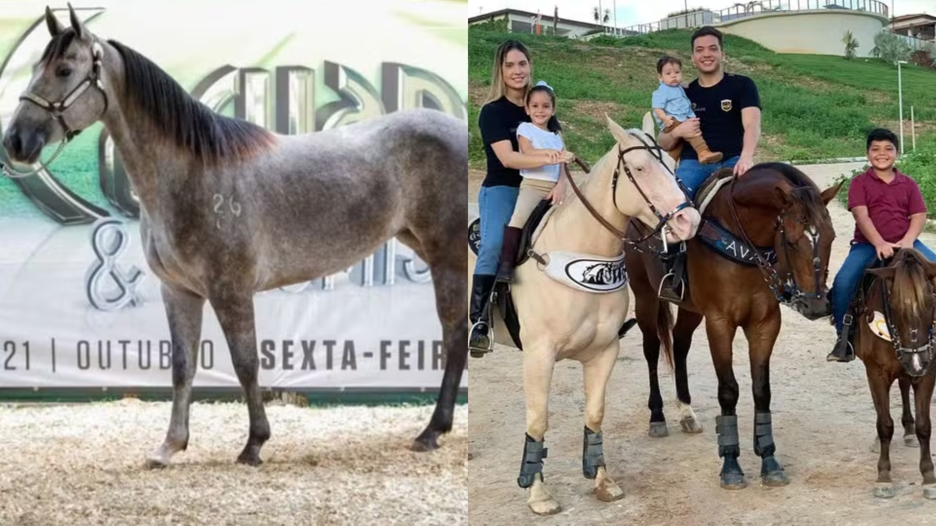 Cavalos Wesley Safadão