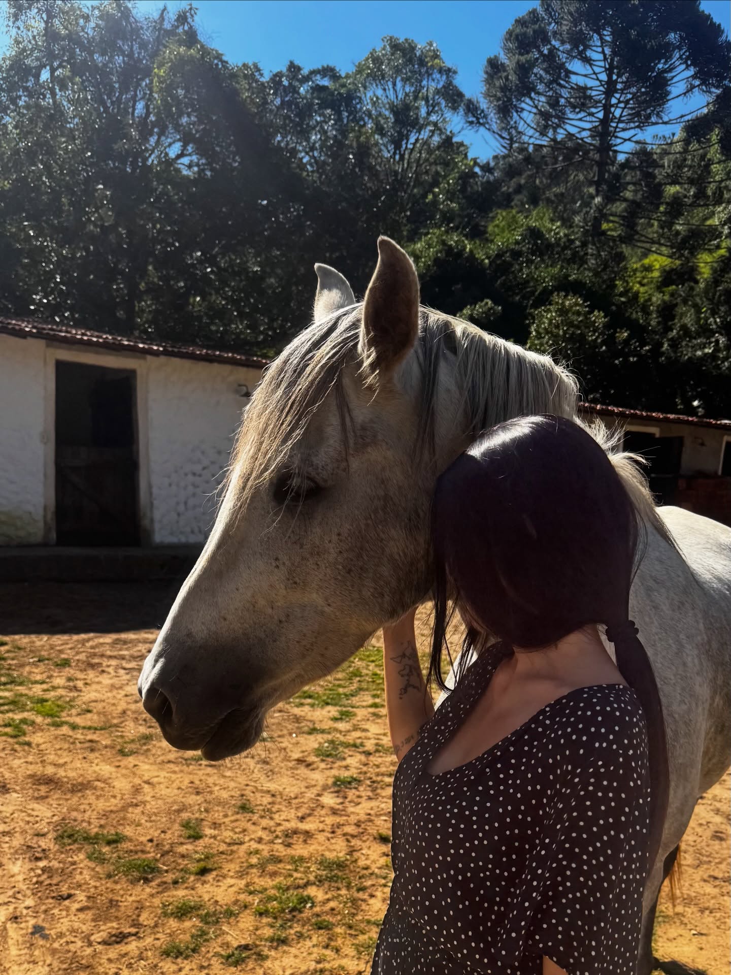 Cleo vive em sítio no interior de Minas Gerais - Foto: Reprodução / Instagram