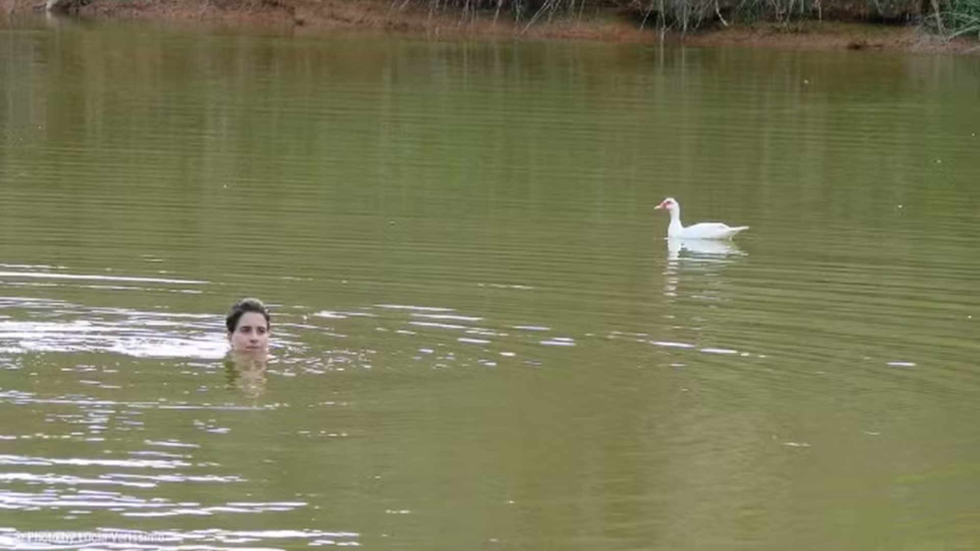 Fazenda da atriz Lúcia Verissimo