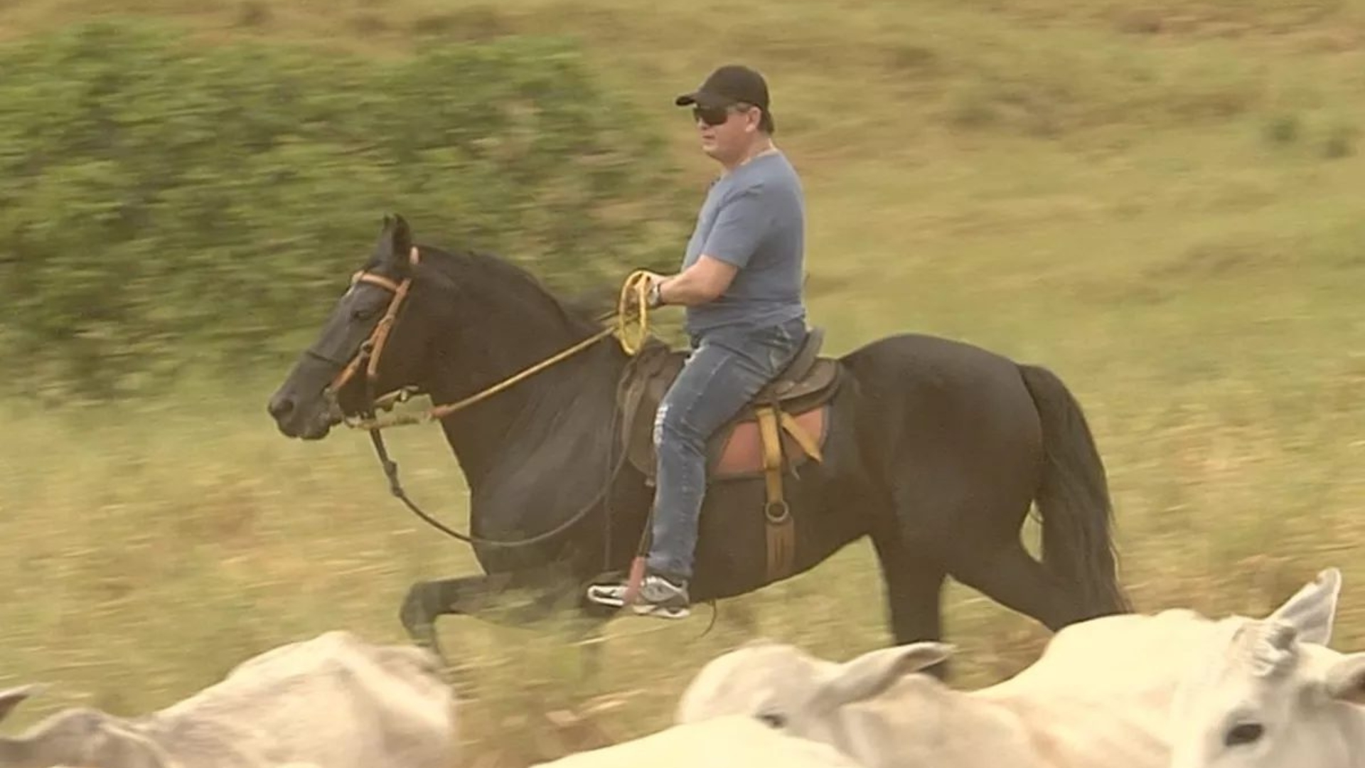 Amado Batista