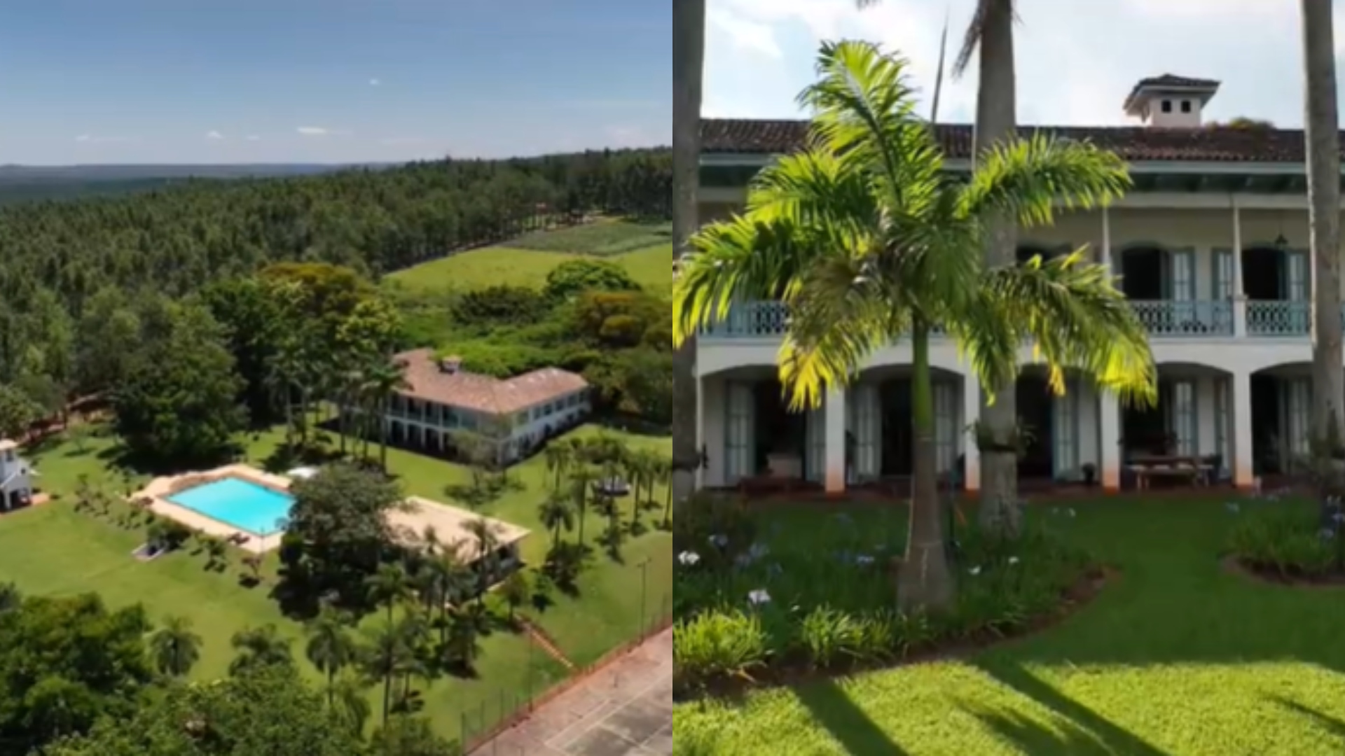 Ana Maria Braga fazenda