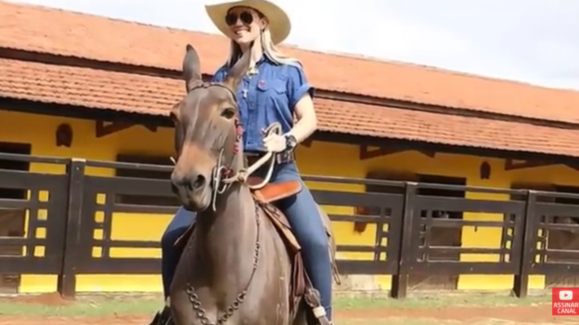 Bruna Viola fazenda