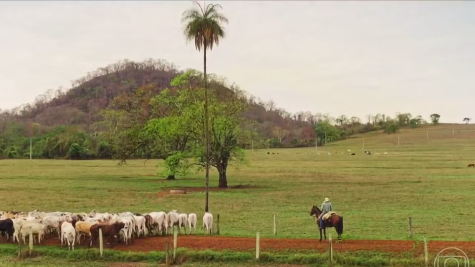 Fazenda do cantor Daniel