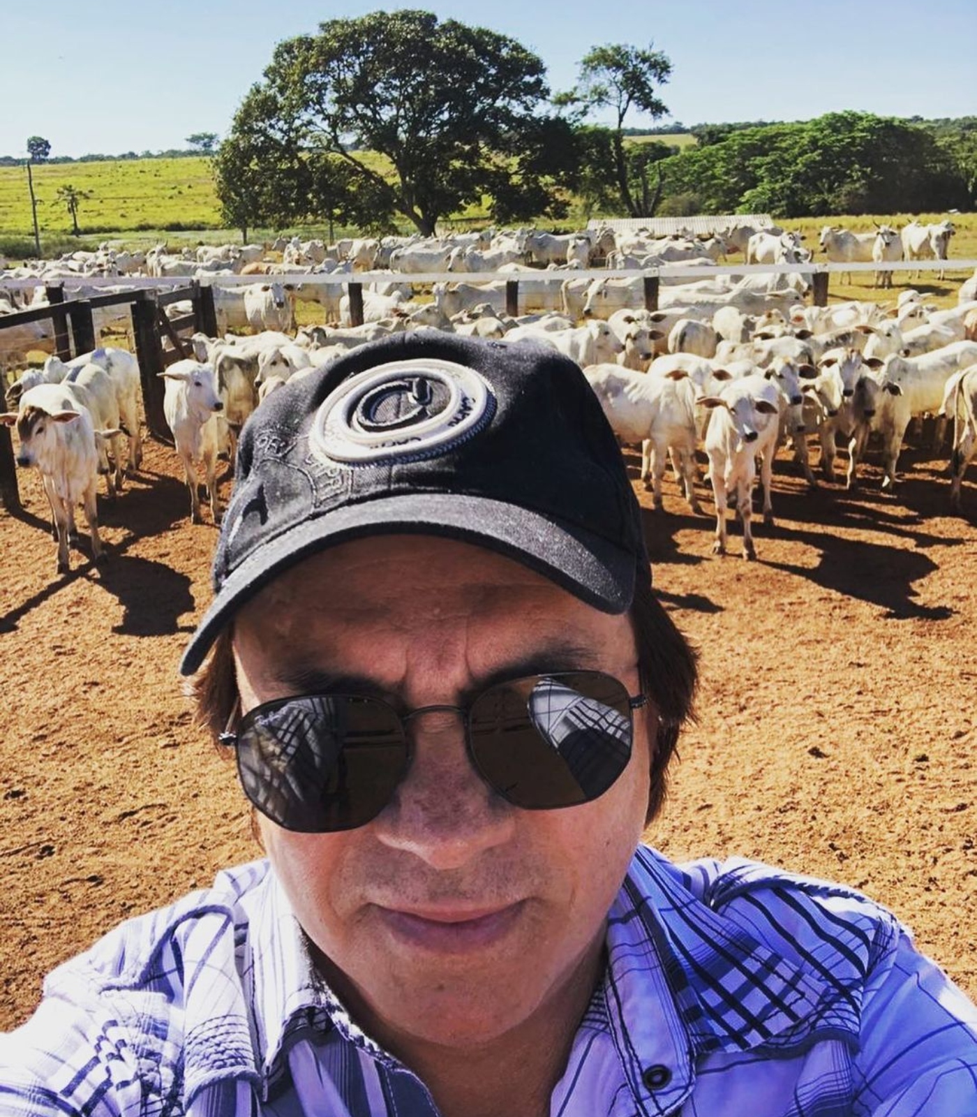 Fazenda Chitãozinho
