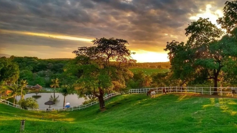 Fazenda de Eduardo Costa em Minas Gerais - Foto: Reprodução / Instagram @eduardocosta